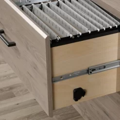 2 Drawer Summit Station Lateral File Cabinet - Sauder -Luxe Living Interiors Shop GUEST 222fc868 8cdc 4031 80b9 3b810844b0f7