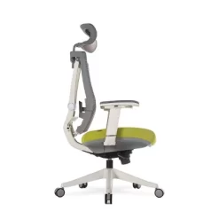 Premium Ergonomic Office Chair - Autonomous -Luxe Living Interiors Shop GUEST 33b51960 d2c0 4056 a523 ab40582c45a2