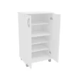 Michigan 2 Door Storage Cabinet White - Polifurniture