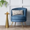 Beadle Accent Chair With Brass Leg Velvet Blue - Project 62™ -Luxe Living Interiors Shop GUEST 8ccbf5b0 9e09 4135 98bb 0abf3c1d375e
