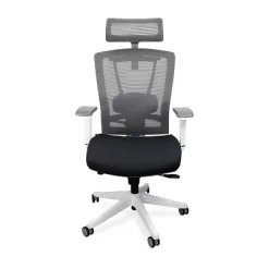Premium Ergonomic Office Chair - Autonomous -Luxe Living Interiors Shop GUEST 8dee349b f4cf 409e b48c 7a7d89854194