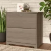 Cabot 2 Drawer File Cabinet Ash Gray - Bush Furniture -Luxe Living Interiors Shop GUEST e956fcbc 772a 4145 a038 af6b88662ff9