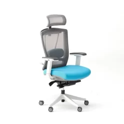 Premium Ergonomic Office Chair - Autonomous -Luxe Living Interiors Shop GUEST f29fe8ea d267 4fd1 b10a 5746745c5742